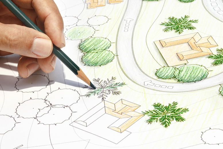 Greencare Landscaping - Forest Design in UAE