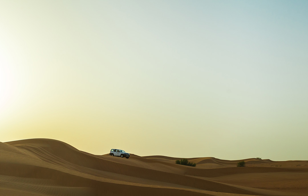 Desert Trip in Dubai