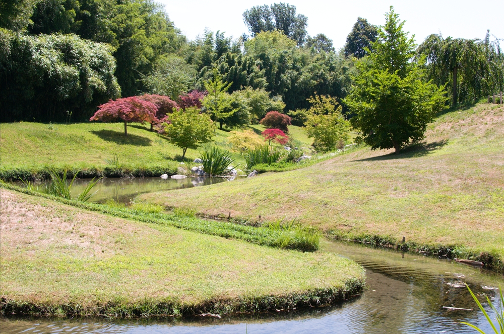 Greencare Landscaping LCC-Landscape Designing-in-Dubai