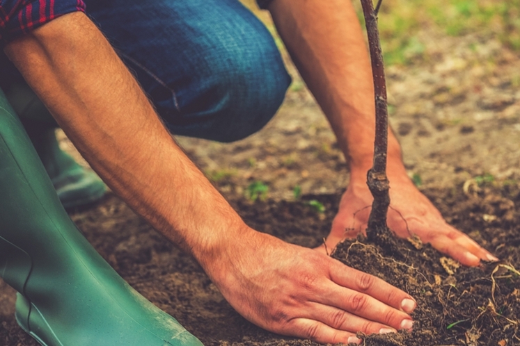 Greencare Landscaping LCC-Gardening Service-in-Dubai